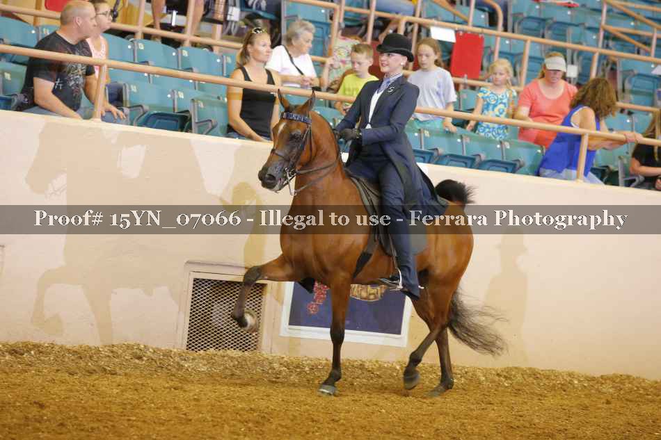 Proof 15YN_07066