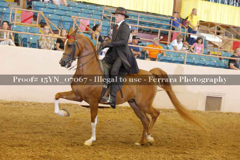 Proof 15YN_07067