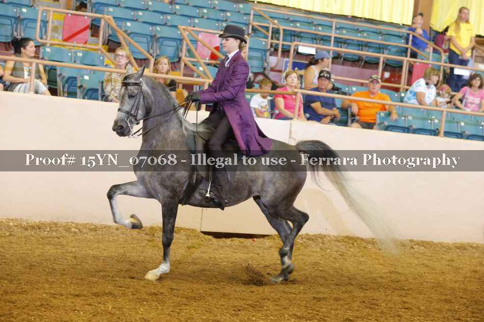 Proof 15YN_07068
