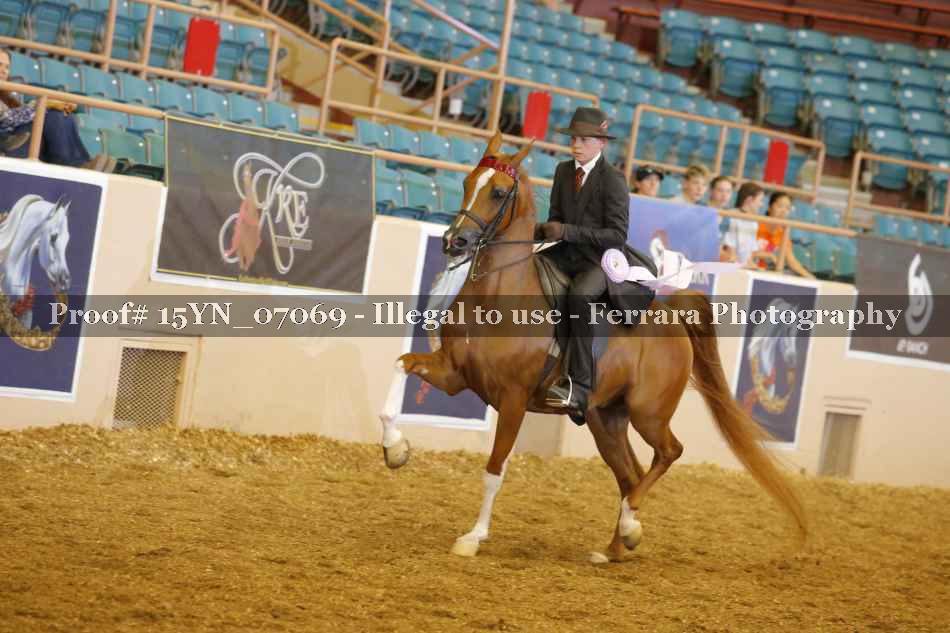 Proof 15YN_07069