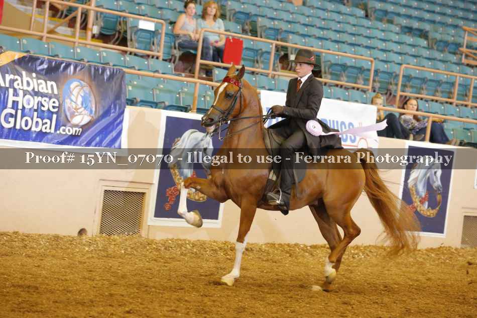 Proof 15YN_07070