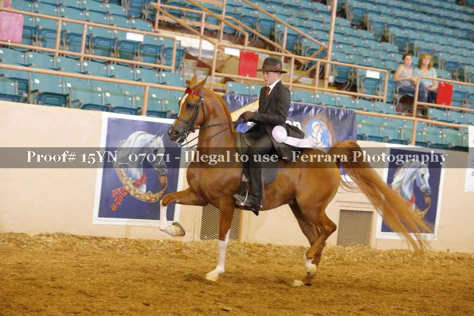 Proof 15YN_07071