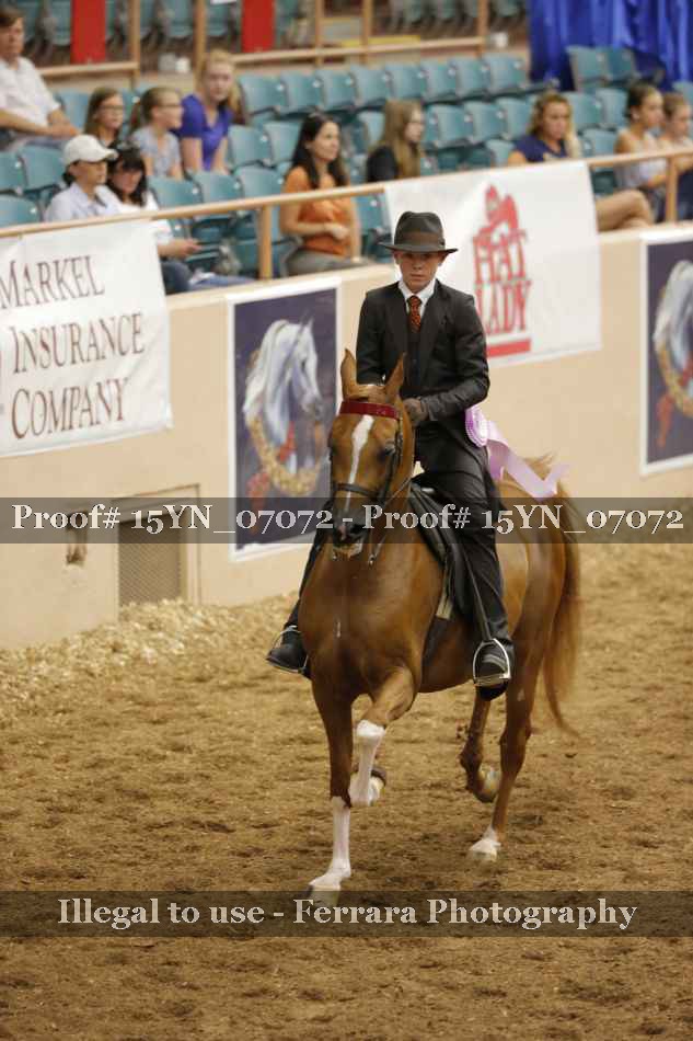 Proof 15YN_07072