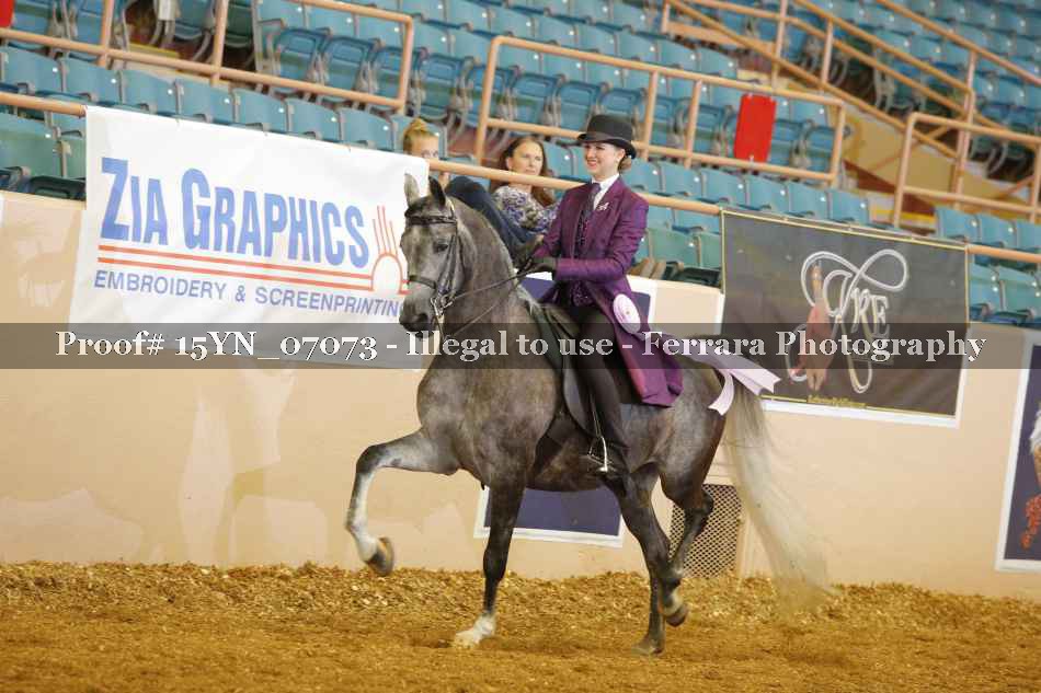 Proof 15YN_07073
