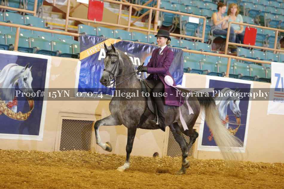 Proof 15YN_07074
