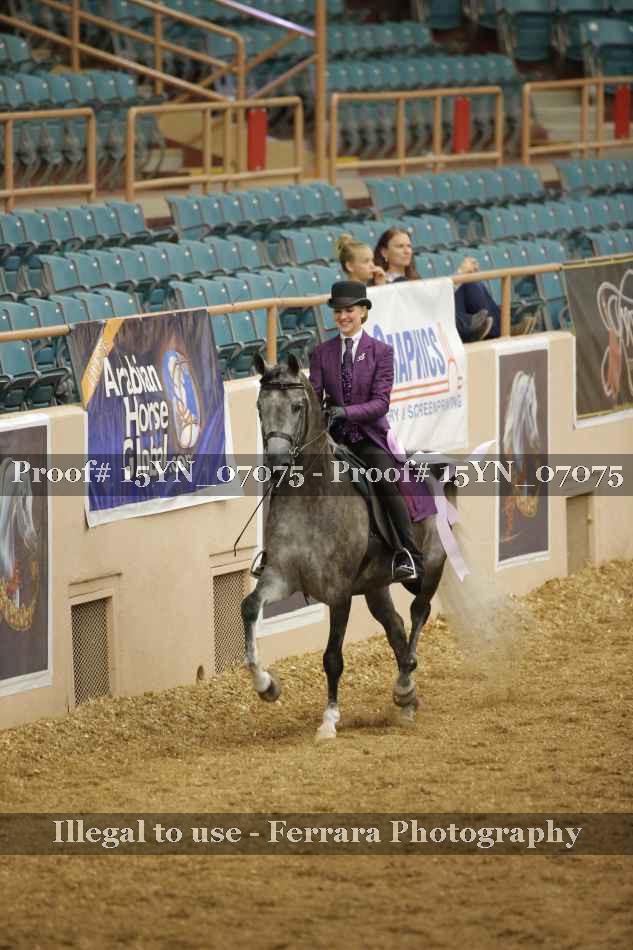 Proof 15YN_07075