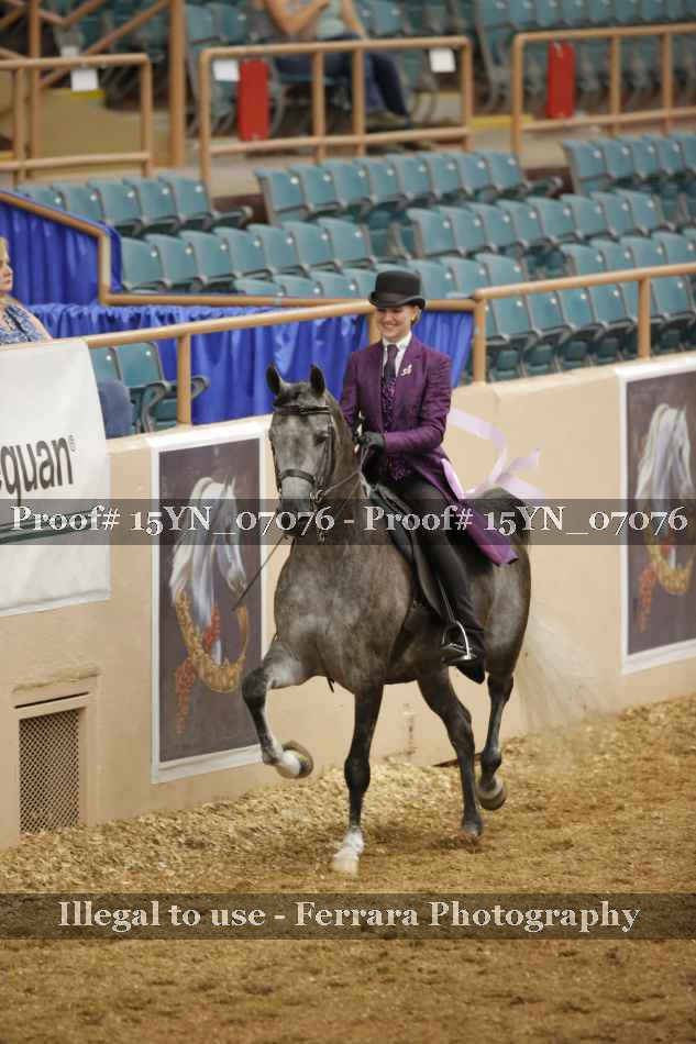 Proof 15YN_07076