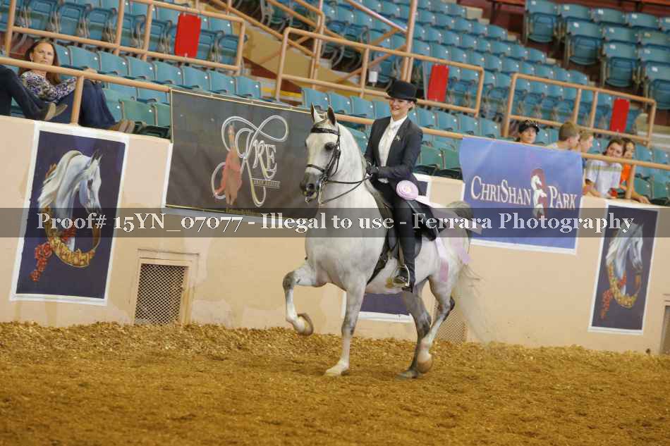 Proof 15YN_07077
