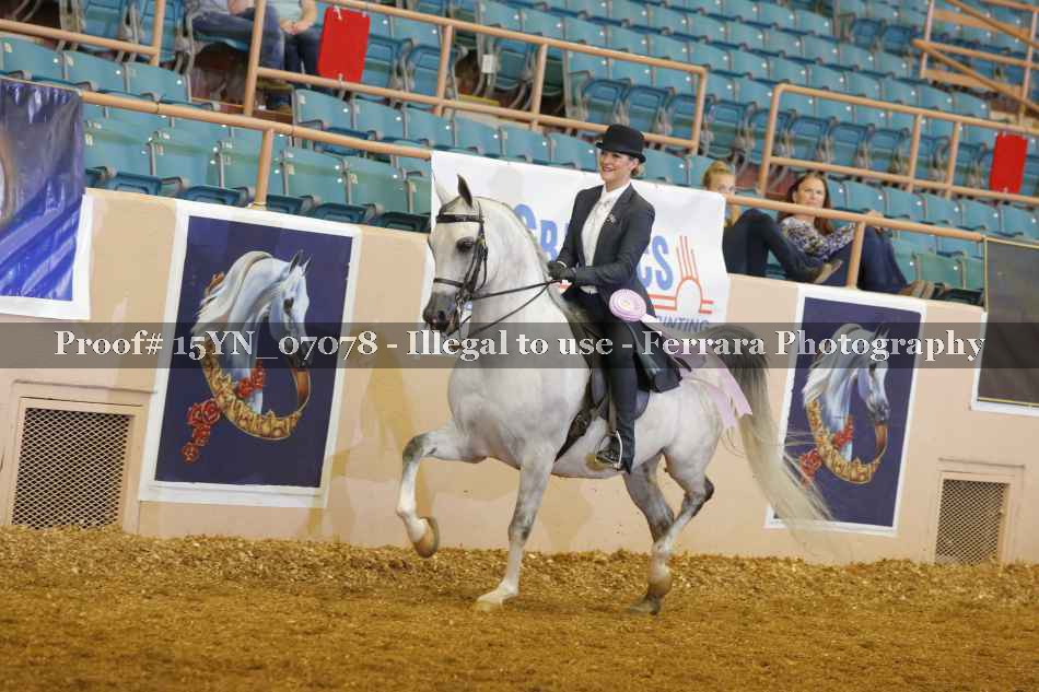 Proof 15YN_07078