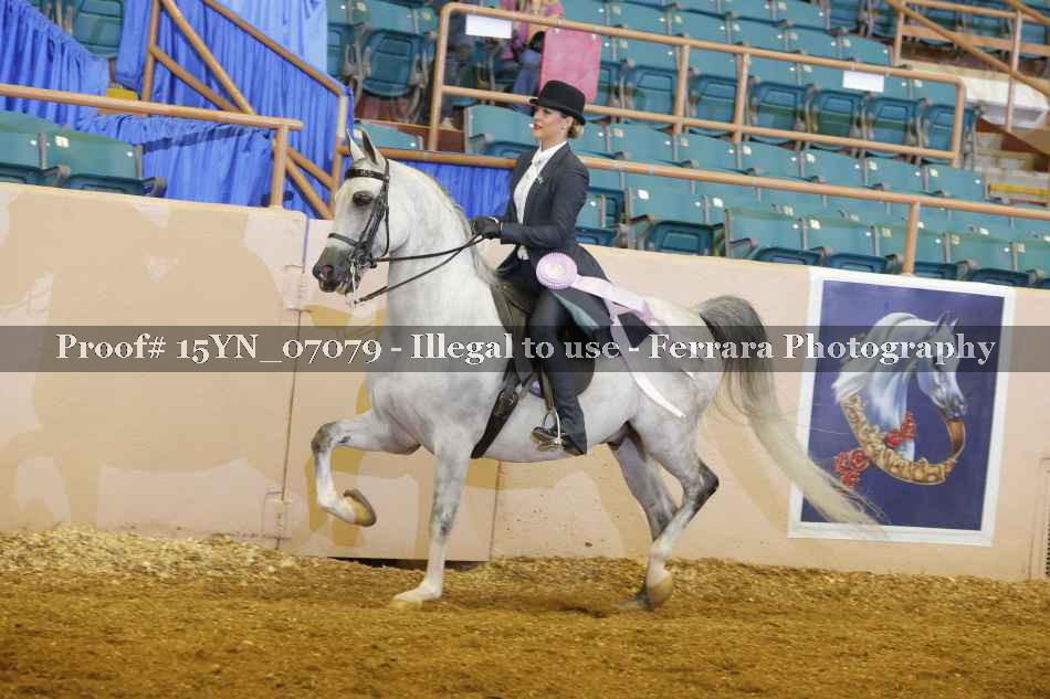 Proof 15YN_07079