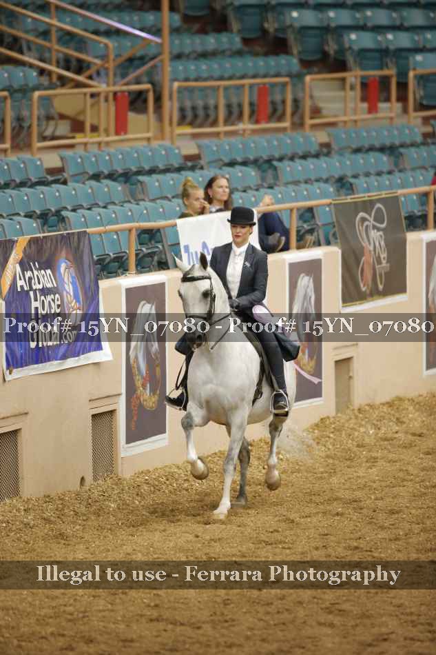 Proof 15YN_07080