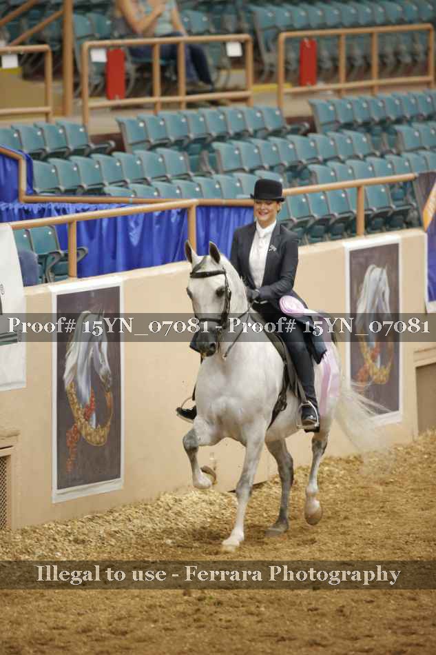 Proof 15YN_07081