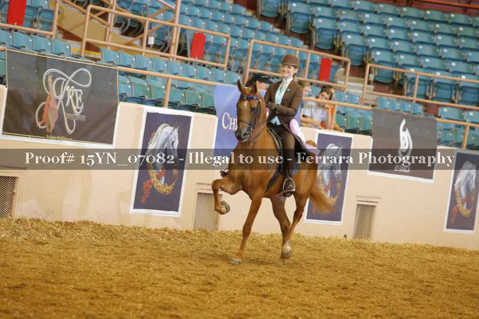 Proof 15YN_07082