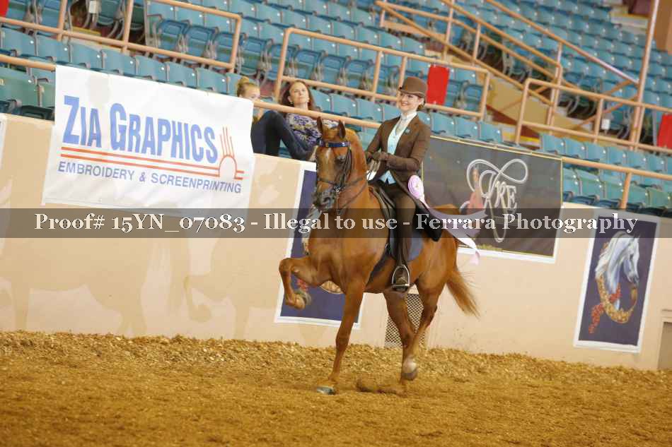 Proof 15YN_07083