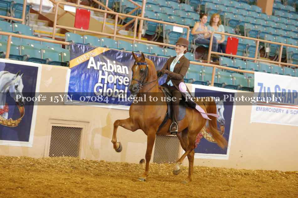 Proof 15YN_07084