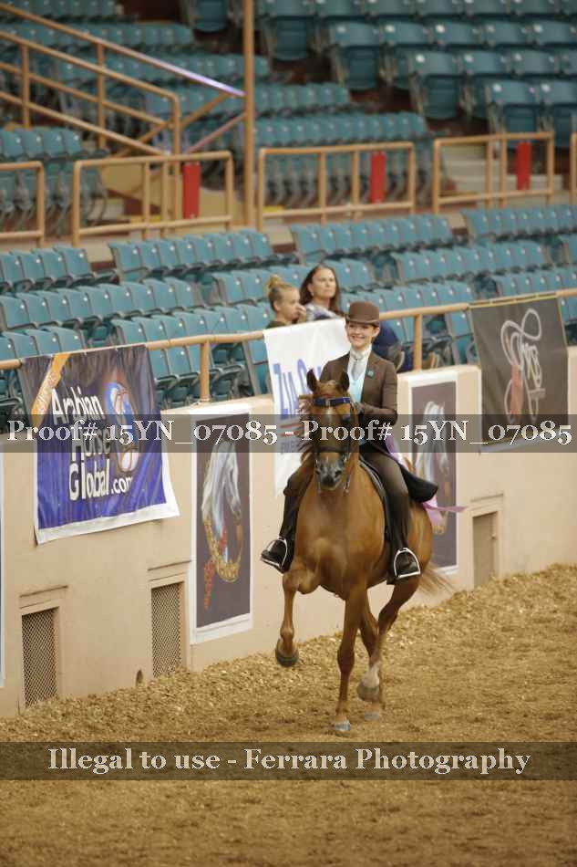 Proof 15YN_07085