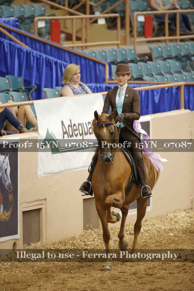 Proof 15YN_07087