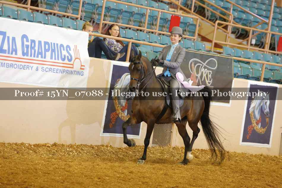 Proof 15YN_07088