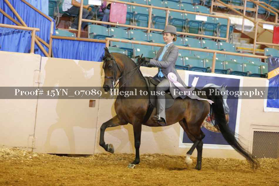 Proof 15YN_07089
