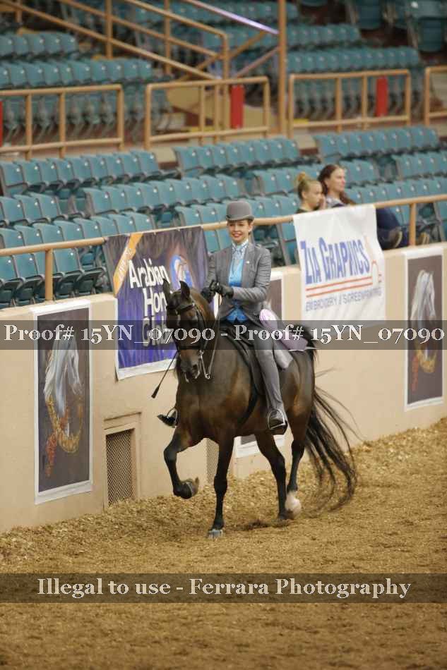 Proof 15YN_07090