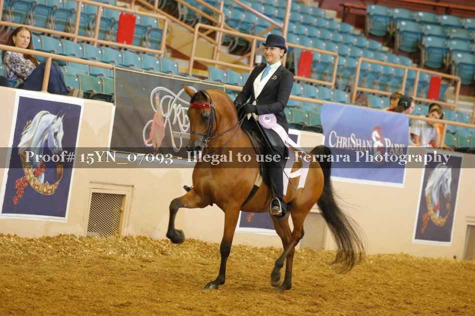 Proof 15YN_07093
