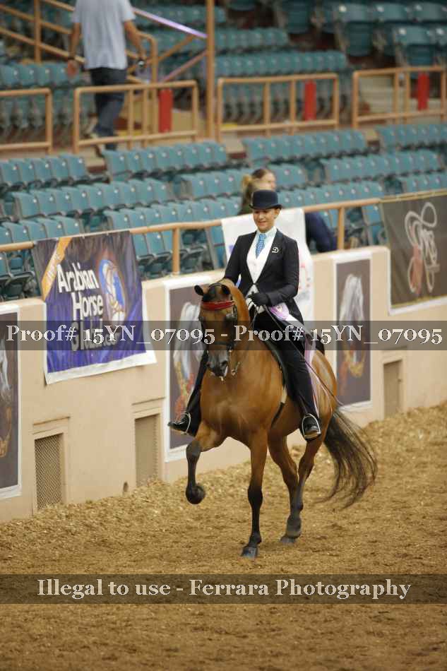 Proof 15YN_07095
