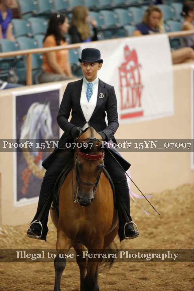 Proof 15YN_07097