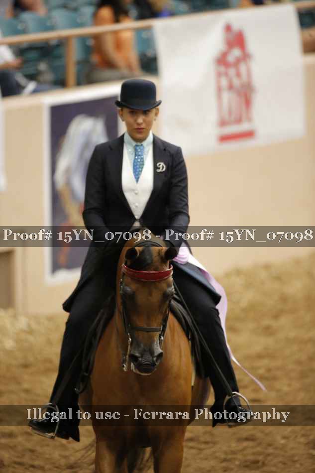 Proof 15YN_07098