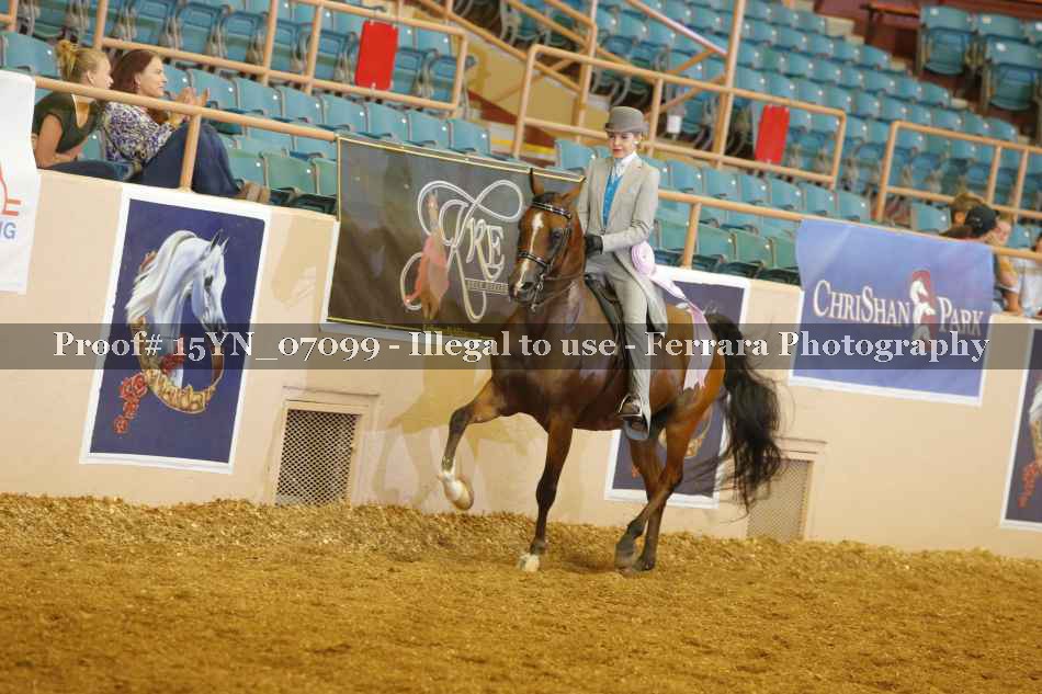 Proof 15YN_07099