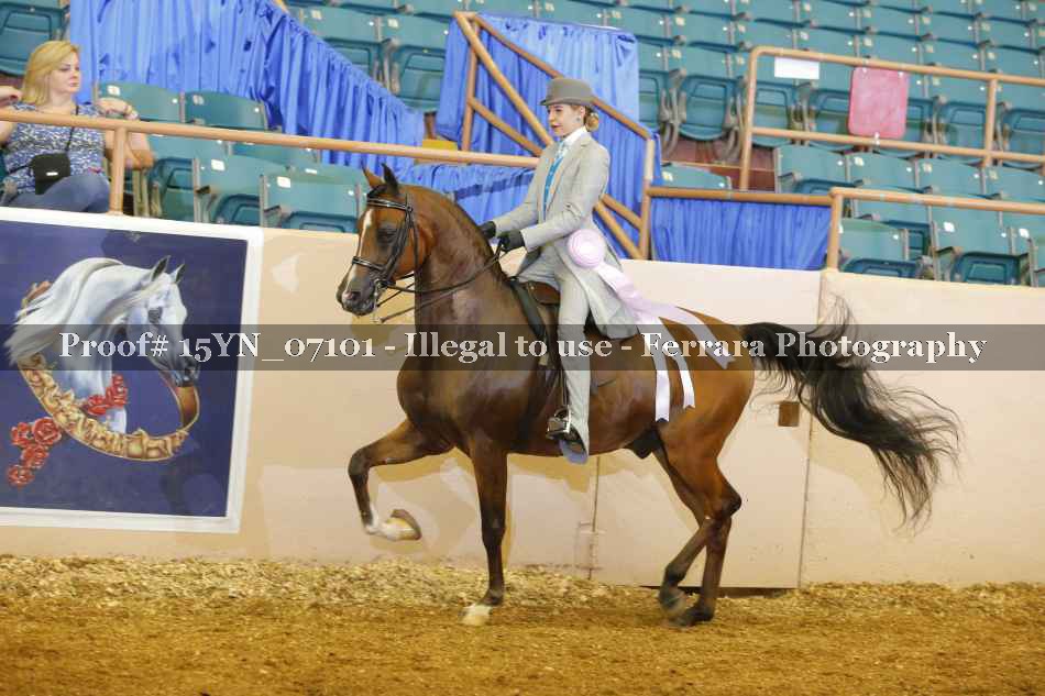 Proof 15YN_07101