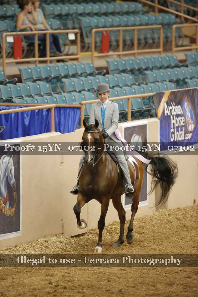 Proof 15YN_07102