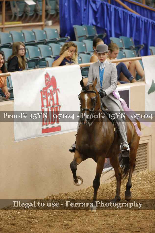 Proof 15YN_07104