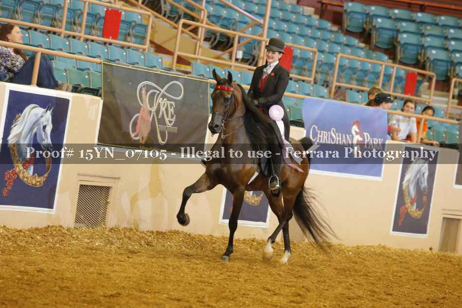 Proof 15YN_07105