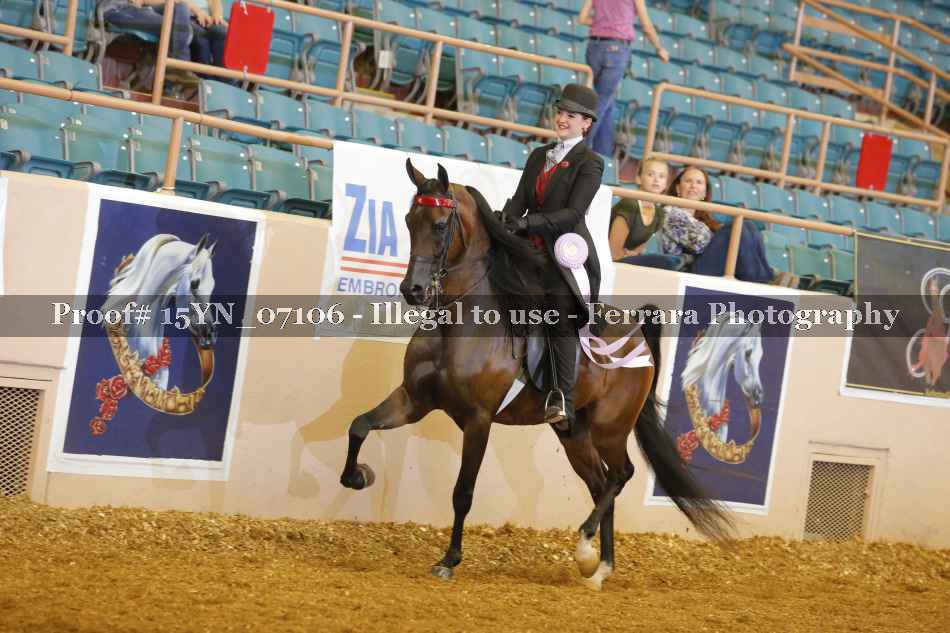 Proof 15YN_07106