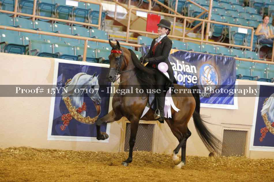 Proof 15YN_07107