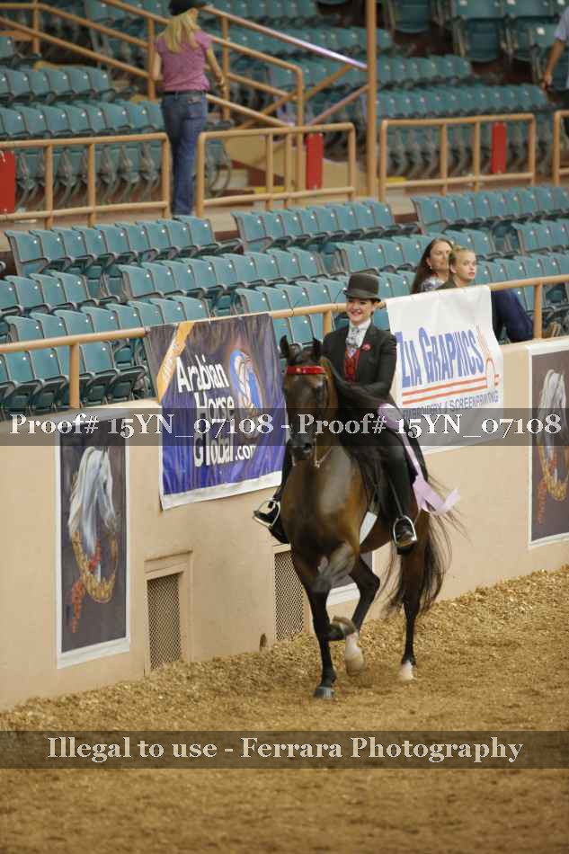 Proof 15YN_07108