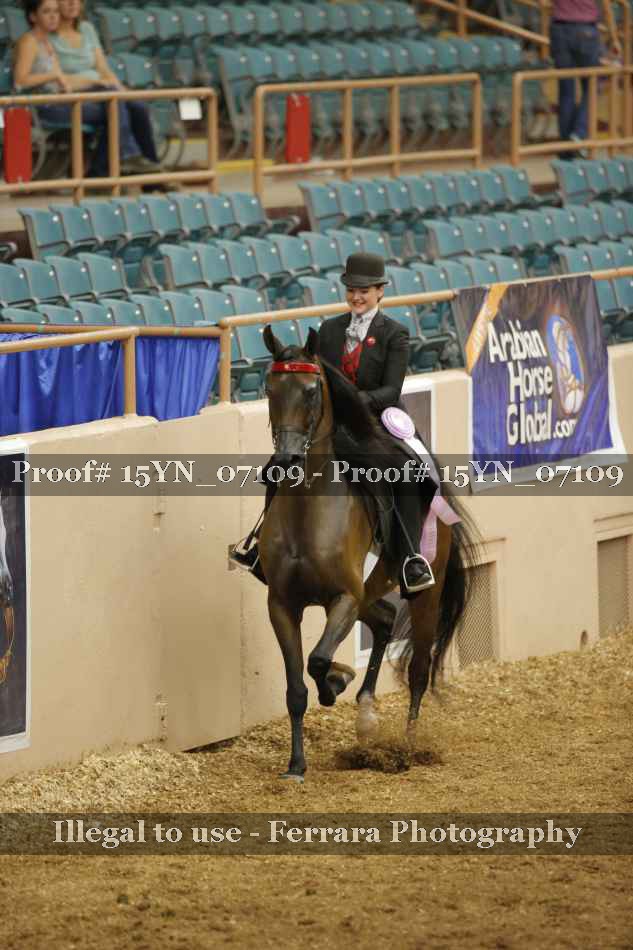Proof 15YN_07109