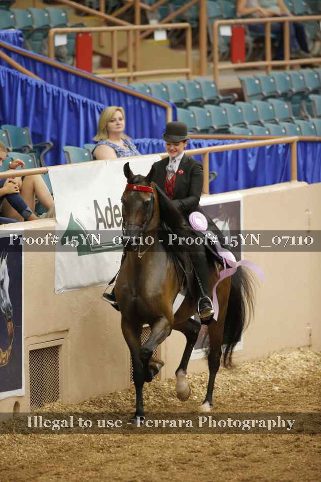 Proof 15YN_07110