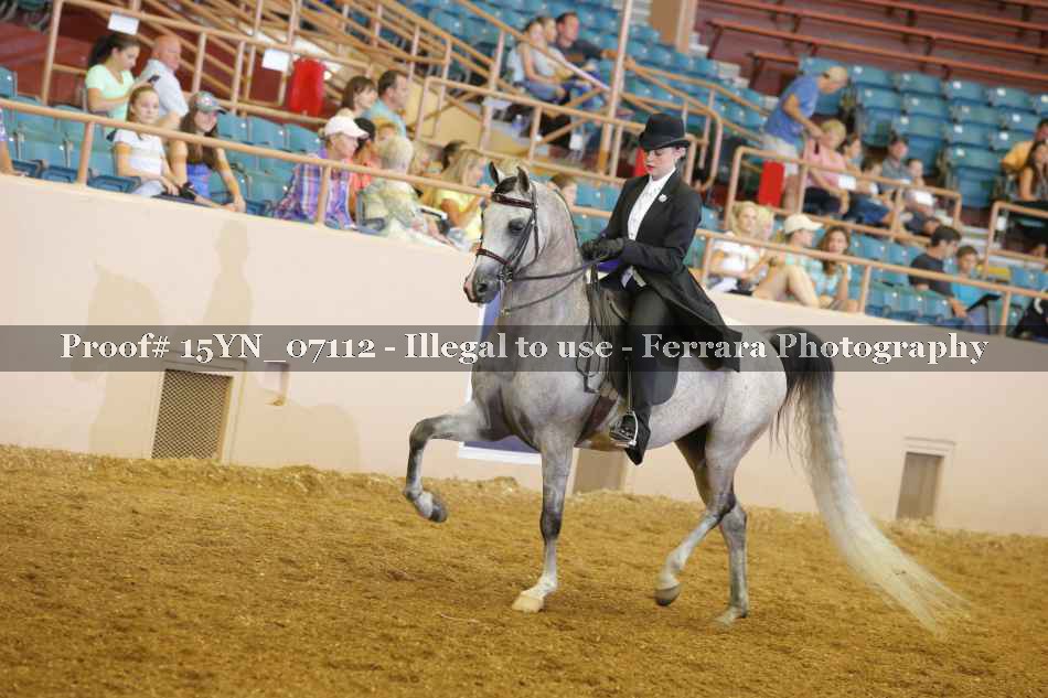 Proof 15YN_07112