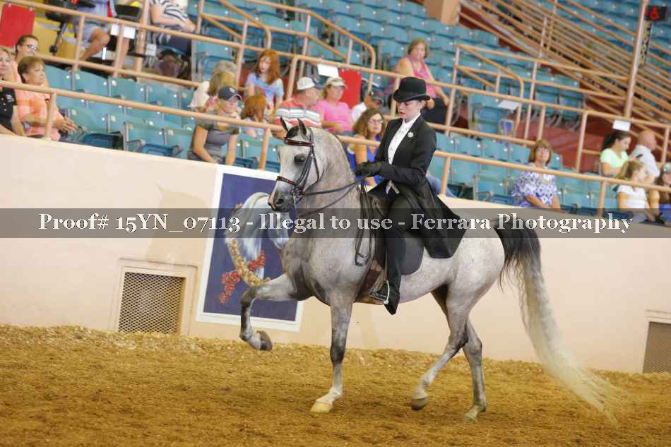 Proof 15YN_07113