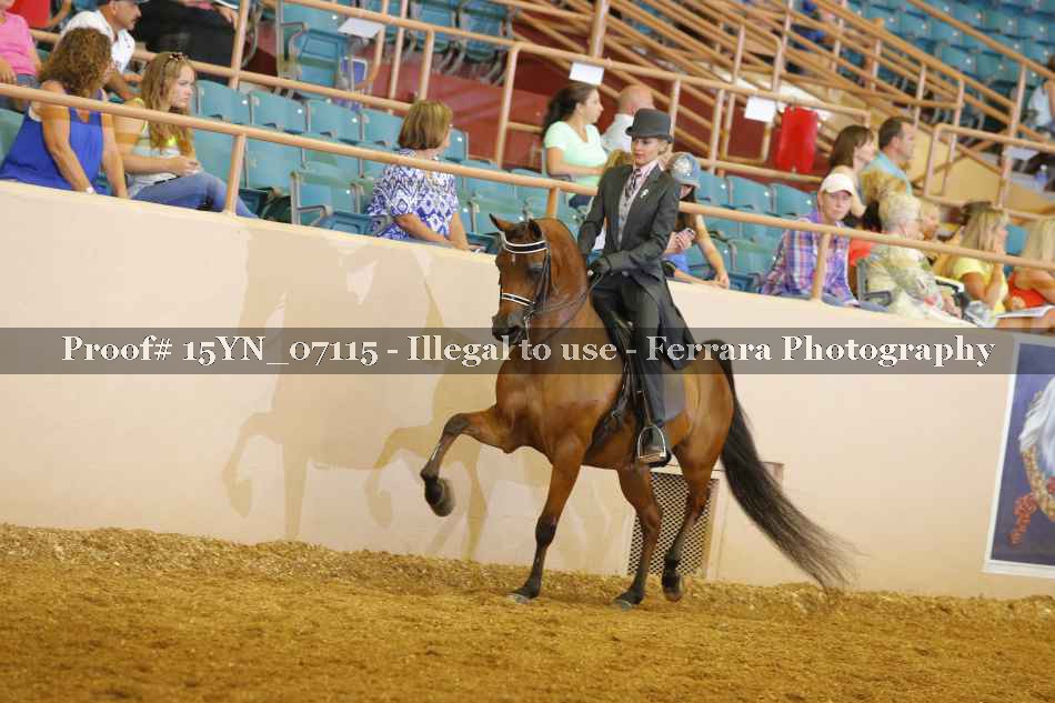Proof 15YN_07115