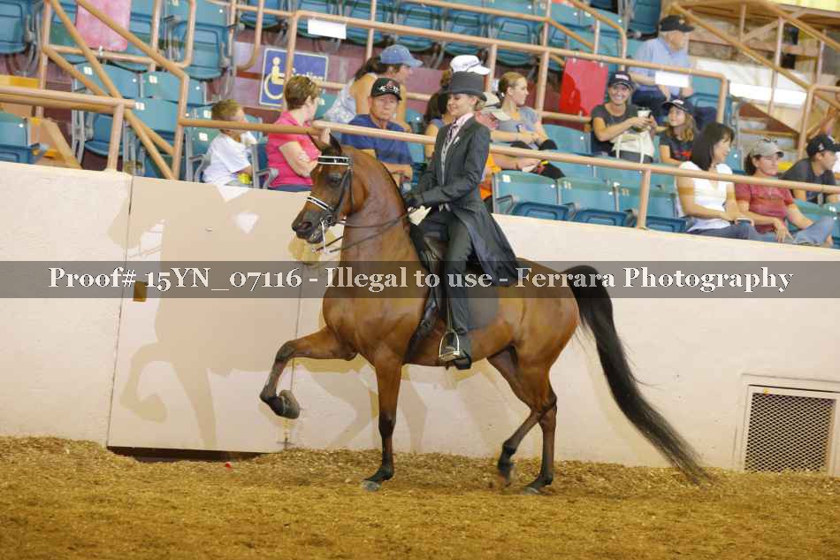 Proof 15YN_07116