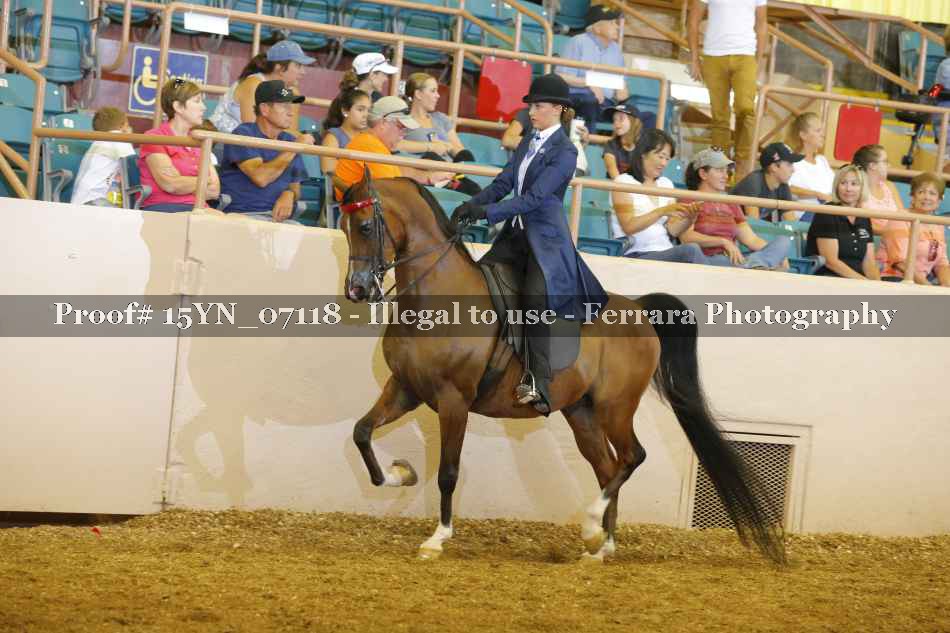 Proof 15YN_07118
