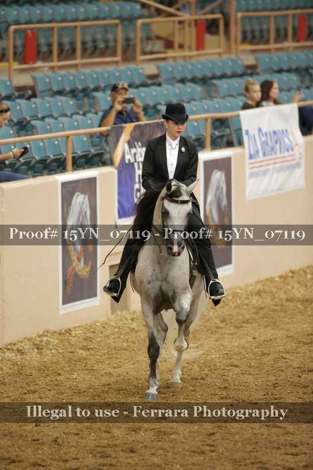 Proof 15YN_07119