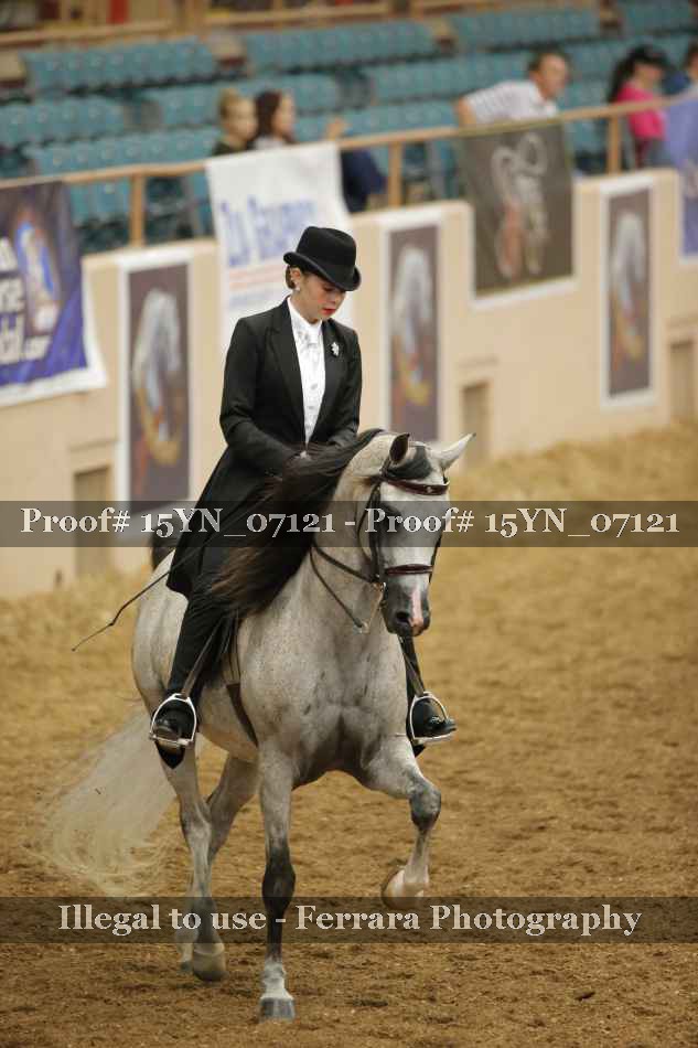 Proof 15YN_07121