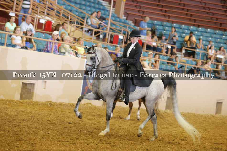 Proof 15YN_07122