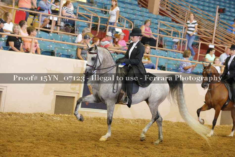 Proof 15YN_07123