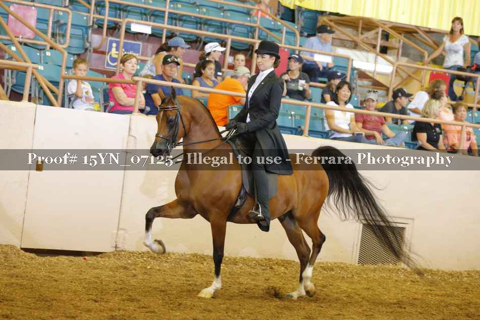 Proof 15YN_07125