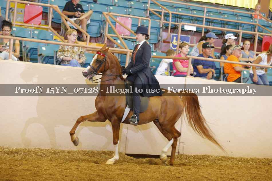 Proof 15YN_07128