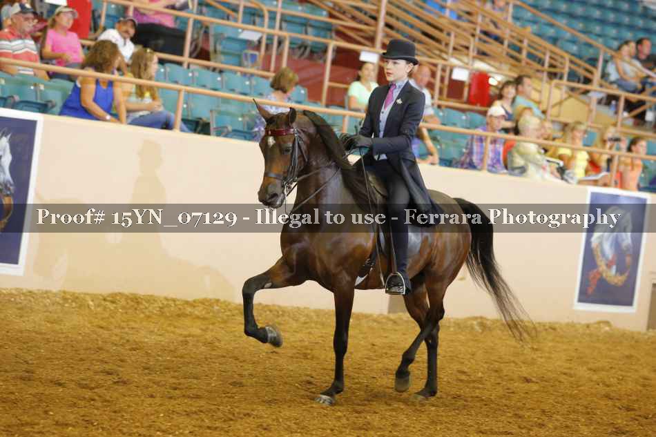 Proof 15YN_07129